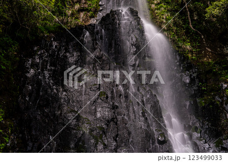 【日本の滝百選】初夏の猿尾滝の風景　上段12　兵庫県美方郡香美町 123499033