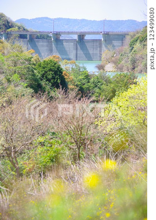 兵庫県南あわじ市 大日ダム公園から大日ダムを望む 兵庫県南あわじ市 大日ダム公園から大日ダムを望む 123499080