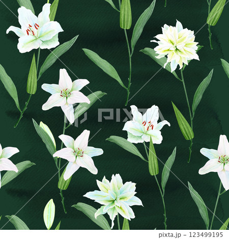 White lily flowers with green stems watercolor seamless pattern on black background. High quality clip art perfect for cards, posters, stickers, Easter, christening spring, mother's day, wedding cards White lily flowers with green stems watercolor seamless pattern on black background. High quality clip art perfect for cards, posters, stickers, Easter, christening spring, mother's day, wedding cards 123499195