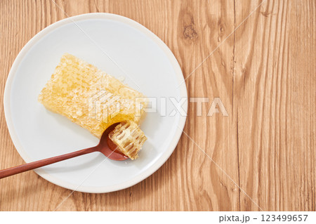 コムハニー(巣蜜)- 天然のはちみつが詰まった栄養価の高い食材 コムハニー(巣蜜)- 天然のはちみつが詰まった栄養価の高い食材 123499657