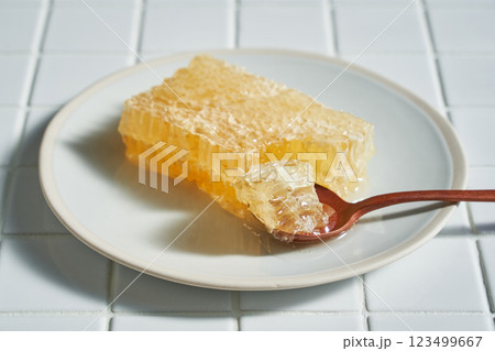 コムハニー(巣蜜)- 天然のはちみつが詰まった栄養価の高い食材 コムハニー(巣蜜)- 天然のはちみつが詰まった栄養価の高い食材 123499667