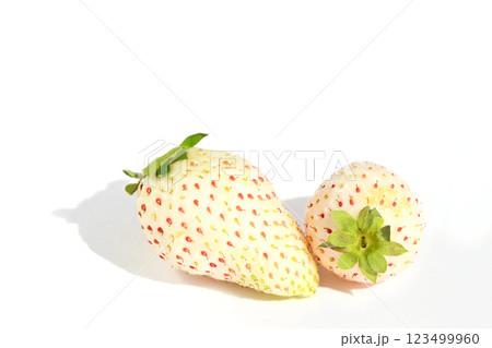 いちご（ミルキーベリー） 123499960