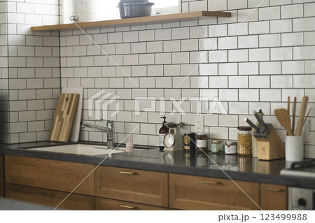 キッチンのシンクと作業スペース 123499988