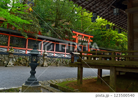高野山 新緑に覆われた御社の鳥居 高野山 新緑に覆われた御社の鳥居 123500540