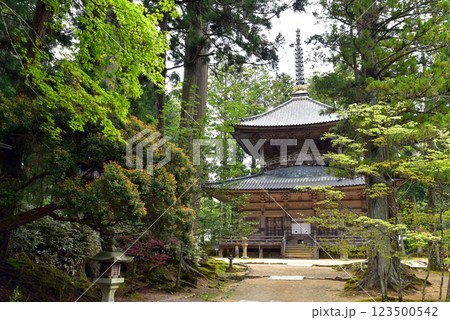 緑に囲まれた金剛峯寺の西塔 123500542