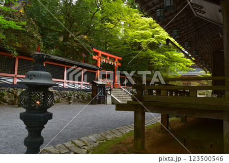 高野山　新緑に覆われた御社と山王院 123500546