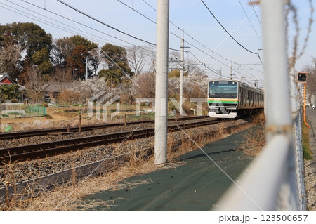 冬の埼玉県蓮田市付近を走行するE233系普通電車 冬の埼玉県蓮田市付近を走行するE233系普通電車 123500657