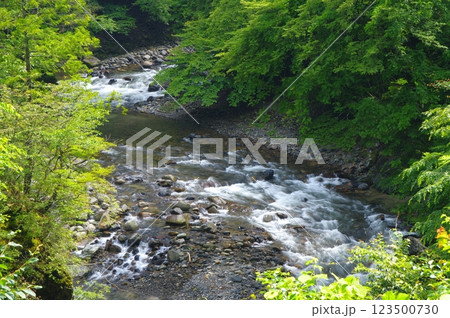 多摩川源流・夏の丹波川の渓流 123500730