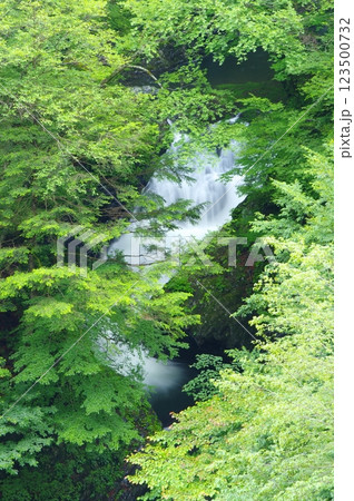 多摩川源流・夏の丹波川の渓流 多摩川源流・夏の丹波川の渓流 123500732