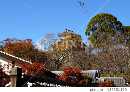 熊本 紅葉の城彩苑の秋の風景 熊本 紅葉の城彩苑の秋の風景 123501130