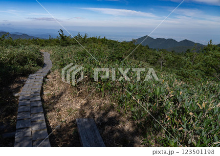 大日平の木道（富山県） 123501198