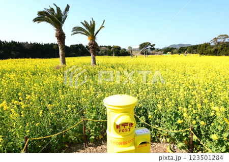 黄色いポスト 黄色いポスト 123501284