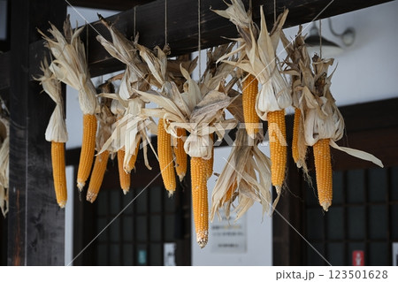 ポップコーン用の乾燥とうもろこし 123501628