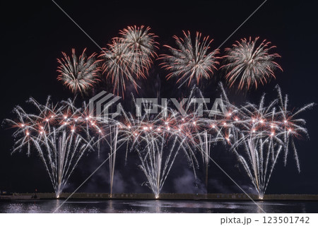 夏の夜空を彩る花火 123501742