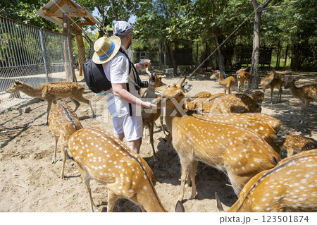 A man hands feeds deer in a park on Orchid Island in Vietnam, Nha Trang. Deer crowd, push, and beg for treats. Close-up, selective focus. A man hands feeds deer in a park on Orchid Island in Vietnam, Nha Trang. Deer crowd, push, and beg for treats. Close-up, selective focus. 123501874