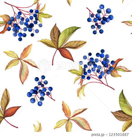 Wild grape cluster pattern. Hand pained watercolor of berries and autumn leaves. Good for postcards, recipes, menu, invitations, greeting cards, wallpaper and textiles 123501887