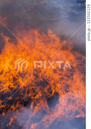 春の風物詩に映える観光・行楽スポット 阿蘇の野焼きクローズアップ風景(俵山) 春の風物詩に映える観光・行楽スポット 阿蘇の野焼きクローズアップ風景(俵山) 123502129