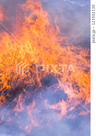 春の風物詩に映える観光・行楽スポット 阿蘇の野焼きクローズアップ風景(俵山) 春の風物詩に映える観光・行楽スポット 阿蘇の野焼きクローズアップ風景(俵山) 123502130