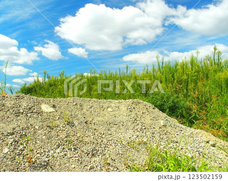 真夏の砂利の台地と夏草と青空風景 123502159
