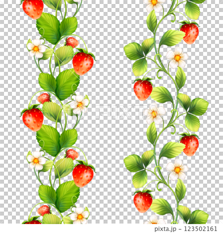 Strawberry with flowers, wild berries, leaves. Seamless decorative border on white background Strawberry with flowers, wild berries, leaves. Seamless decorative border on white background 123502161