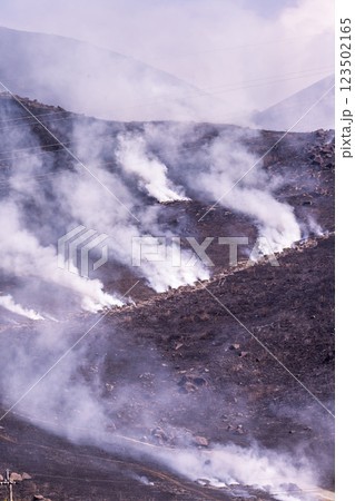 春の風物詩に映える観光・行楽スポット 阿蘇の野焼きクローズアップ風景(俵山) 春の風物詩に映える観光・行楽スポット 阿蘇の野焼きクローズアップ風景(俵山) 123502165