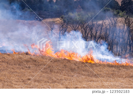 春の風物詩に映える観光・行楽スポット 阿蘇の野焼きクローズアップ風景(俵山) 春の風物詩に映える観光・行楽スポット 阿蘇の野焼きクローズアップ風景(俵山) 123502183
