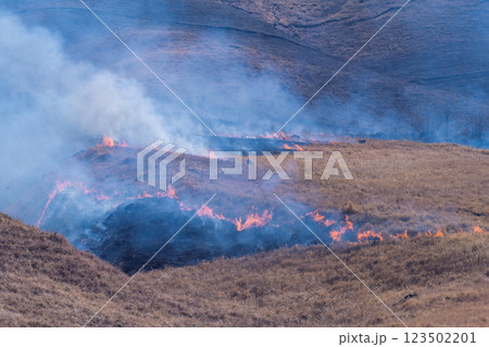 春の風物詩に映える観光・行楽スポット　阿蘇の野焼きクローズアップ風景(俵山) 123502201
