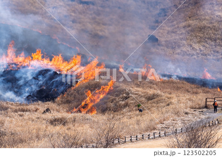 春の風物詩に映える観光・行楽スポット 阿蘇の野焼きクローズアップ風景(俵山) 春の風物詩に映える観光・行楽スポット 阿蘇の野焼きクローズアップ風景(俵山) 123502205