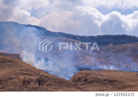 春の風物詩に映える観光・行楽スポット 阿蘇の野焼きクローズアップ風景(俵山) 春の風物詩に映える観光・行楽スポット 阿蘇の野焼きクローズアップ風景(俵山) 123502215