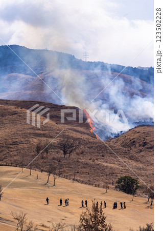 春の風物詩に映える観光・行楽スポット 阿蘇の野焼きクローズアップ風景(俵山) 春の風物詩に映える観光・行楽スポット 阿蘇の野焼きクローズアップ風景(俵山) 123502228