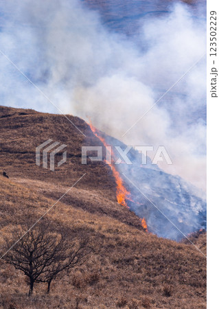 春の風物詩に映える観光・行楽スポット　阿蘇の野焼きクローズアップ風景(俵山) 123502229