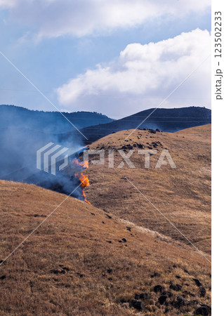 春の風物詩に映える観光・行楽スポット 阿蘇の野焼きクローズアップ風景(俵山) 春の風物詩に映える観光・行楽スポット 阿蘇の野焼きクローズアップ風景(俵山) 123502233