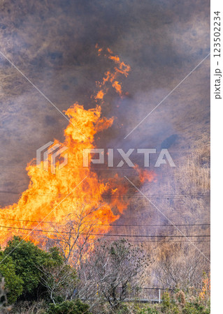 春の風物詩に映える観光・行楽スポット 阿蘇の野焼きクローズアップ風景(俵山) 春の風物詩に映える観光・行楽スポット 阿蘇の野焼きクローズアップ風景(俵山) 123502234
