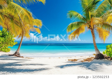 Palm trees on the caribbean tropical beach. Saona Island, Dominican Republic. Vacation travel background Palm trees on the caribbean tropical beach. Saona Island, Dominican Republic. Vacation travel background 123502253