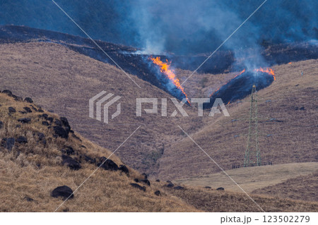 春の風物詩に映える観光・行楽スポット 阿蘇の野焼きクローズアップ風景(俵山) 春の風物詩に映える観光・行楽スポット 阿蘇の野焼きクローズアップ風景(俵山) 123502279