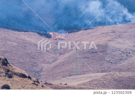 春の風物詩に映える観光・行楽スポット 阿蘇の野焼きクローズアップ風景(俵山) 春の風物詩に映える観光・行楽スポット 阿蘇の野焼きクローズアップ風景(俵山) 123502309