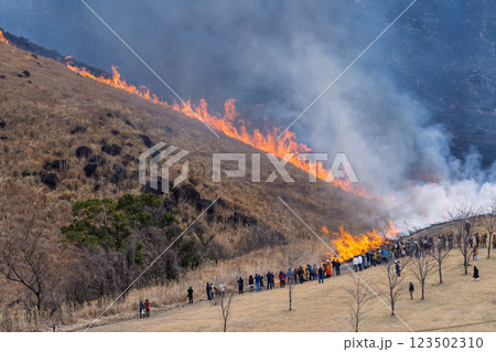 春の風物詩に映える観光・行楽スポット　阿蘇の野焼きクローズアップ風景(俵山) 123502310