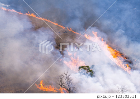 春の風物詩に映える観光・行楽スポット 阿蘇の野焼きクローズアップ風景(俵山) 春の風物詩に映える観光・行楽スポット 阿蘇の野焼きクローズアップ風景(俵山) 123502311