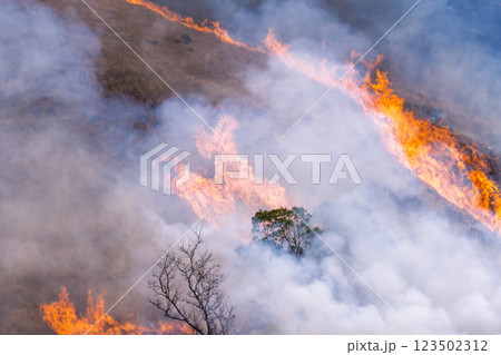 春の風物詩に映える観光・行楽スポット 阿蘇の野焼きクローズアップ風景(俵山) 春の風物詩に映える観光・行楽スポット 阿蘇の野焼きクローズアップ風景(俵山) 123502312
