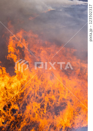 春の風物詩に映える観光・行楽スポット 阿蘇の野焼きクローズアップ風景(俵山) 春の風物詩に映える観光・行楽スポット 阿蘇の野焼きクローズアップ風景(俵山) 123502317