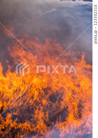 春の風物詩に映える観光・行楽スポット　阿蘇の野焼きクローズアップ風景(俵山) 123502318