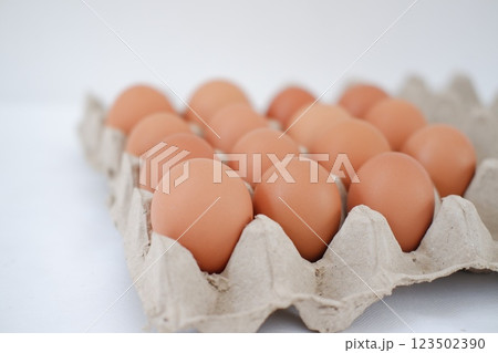 Eggs in a carton box Eggs in a carton box 123502390