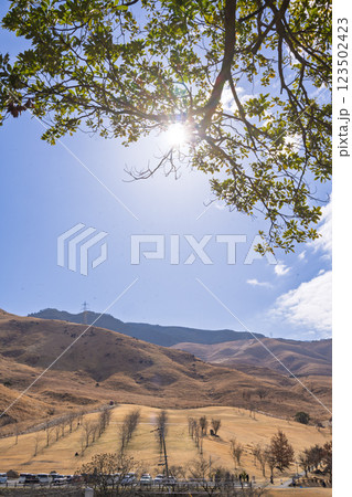 (野焼き前)春の風物詩に映える観光・行楽スポット　阿蘇の野焼き風景(俵山) 123502423