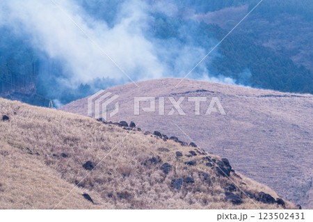 春の風物詩に映える観光・行楽スポット　阿蘇の野焼きクローズアップ風景(俵山) 123502431