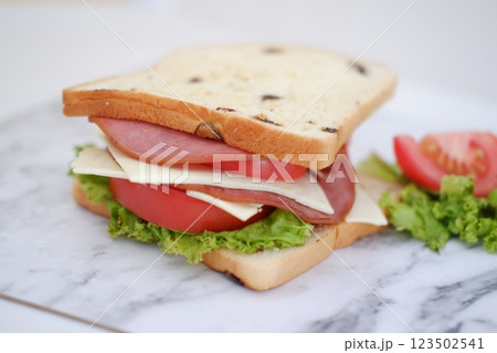 Sandwich with ham, cheese, tomato and lettuce background Sandwich with ham, cheese, tomato and lettuce background 123502541