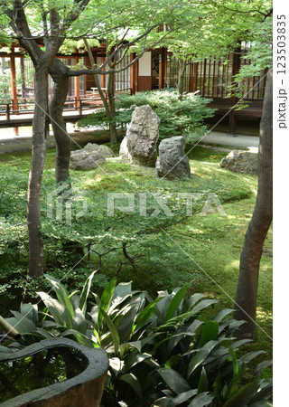 大本山建仁寺　潮音庭　初夏 123503835