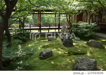 大本山建仁寺 潮音庭 初夏 大本山建仁寺 潮音庭 初夏 123503836