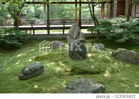 大本山建仁寺 潮音庭 初夏 大本山建仁寺 潮音庭 初夏 123503837