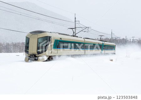 【会津線】雪原を疾走する特急リバティ会津 123503848