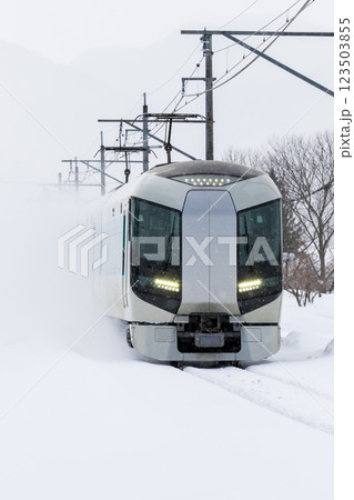 【会津線】雪原を突き進む特急リバティ会津 【会津線】雪原を突き進む特急リバティ会津 123503855